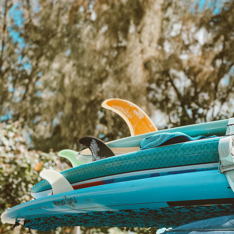 surfboard fin